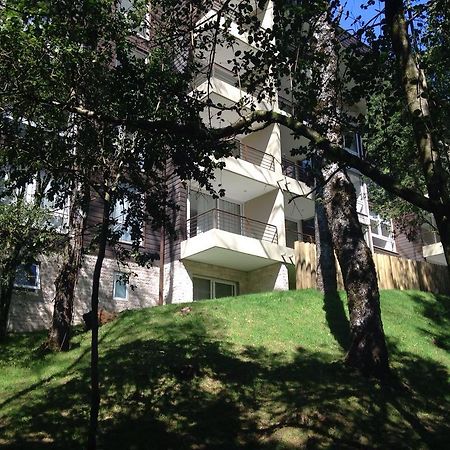 Apartamento Camino Al Volcan Пукон Экстерьер фото